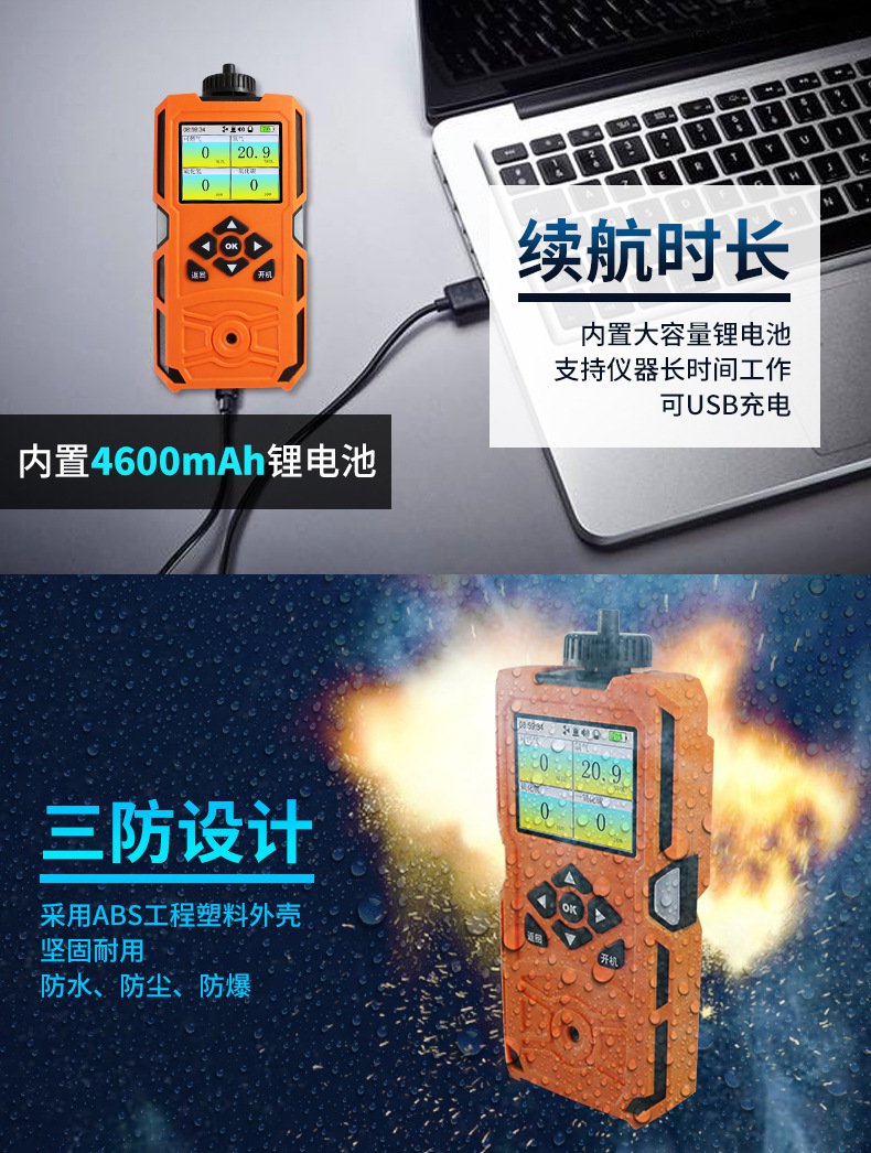 愛德克斯X-4(BX)泵吸多氣體檢測儀7.jpg