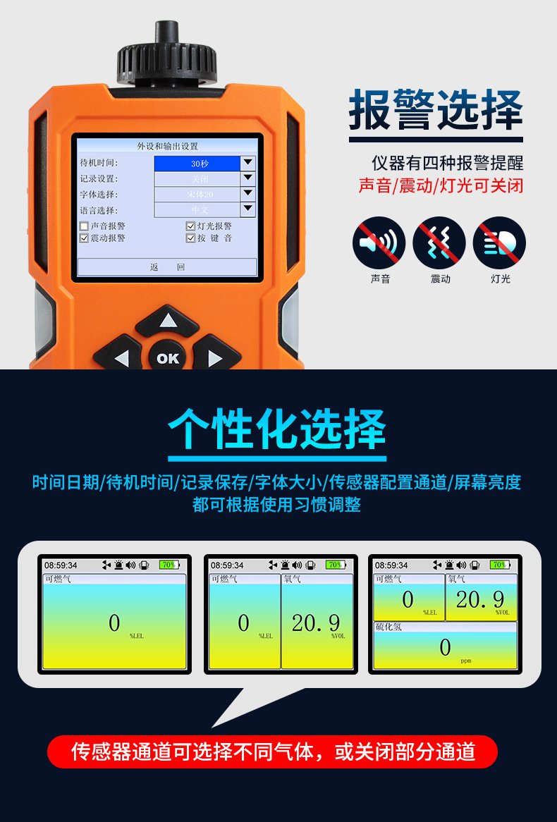 愛德克斯X-4(BX)泵吸多氣體檢測儀9.jpg