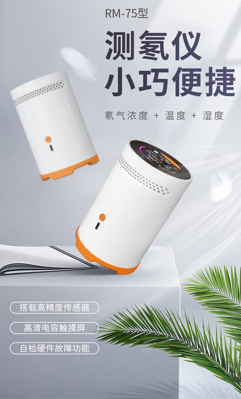 愛德克斯RM-75型測氫儀1.jpg