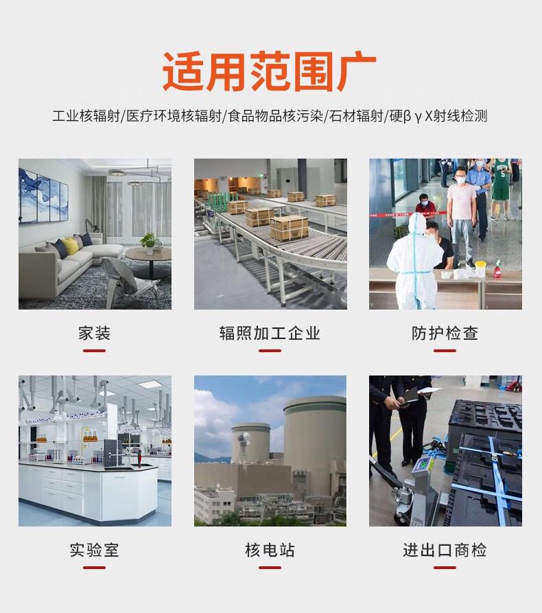 愛德克斯HFS-10核輻射測(cè)量儀4.jpg